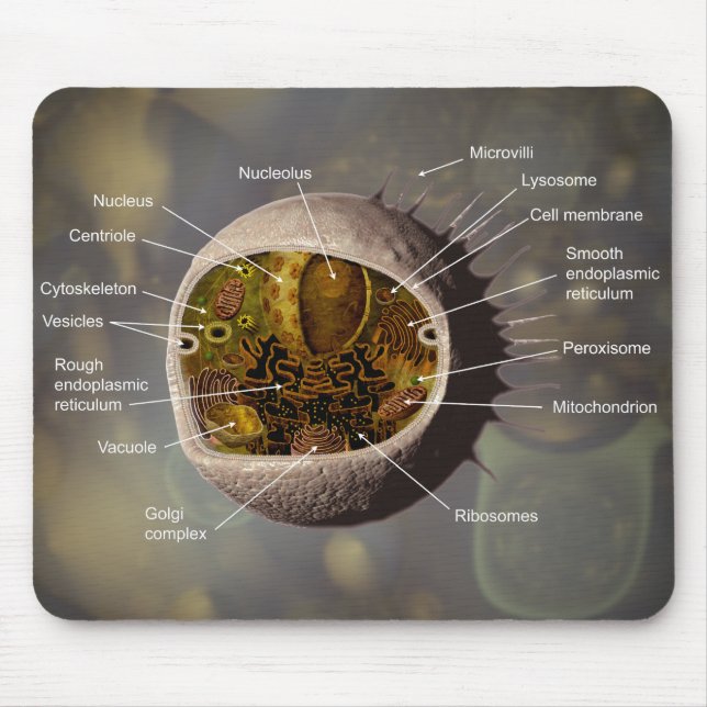 Tapis De Souris Mousepad de cellule humaine (Devant)