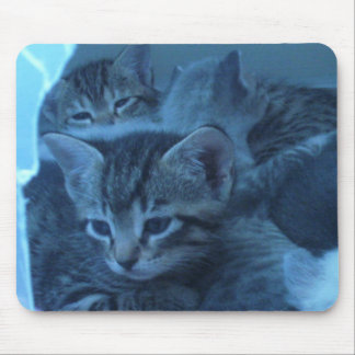 Tapis De Souris Mousepad de chat