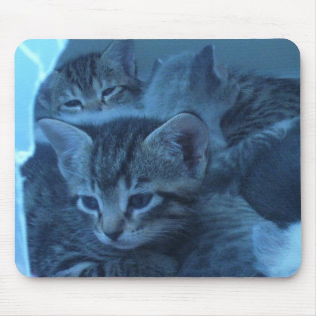 Tapis De Souris Mousepad de chat (Devant)