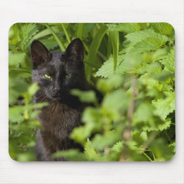 Tapis De Souris Mousepad de chat noir (Devant)