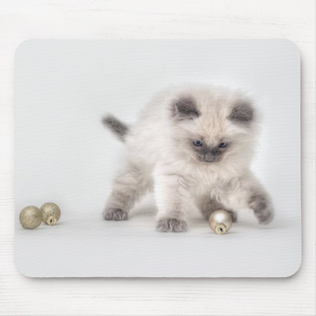 Tapis De Souris Mousepad de chaton de Ragdoll (Devant)