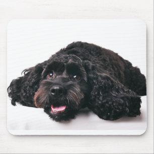 Tapis De Souris mousepad de chiot de mélange de caniche de cocker