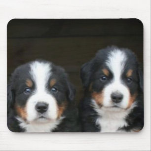 Tapis De Souris Mousepad de chiots de chien de montagne de Bernese
