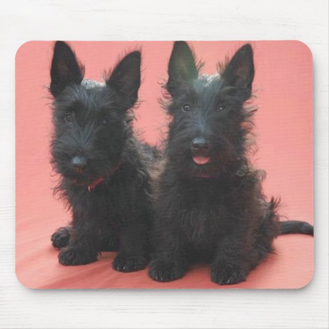 Tapis De Souris Mousepad de chiots de Terrier d'écossais (Devant)