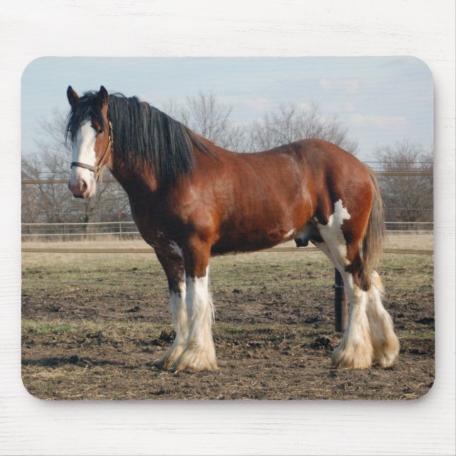 Tapis De Souris Mousepad de Clydesdale (Devant)