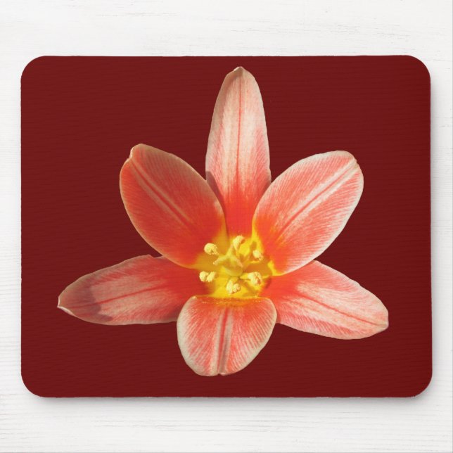 Tapis De Souris Mousepad de corail de ~ de tulipe (Devant)