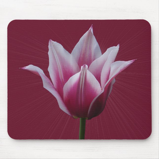 Tapis De Souris Mousepad de ~ de la tulipe w/sunburst (Devant)