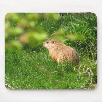 Tapis De Souris Mousepad de ~ de marmotte d'Amérique