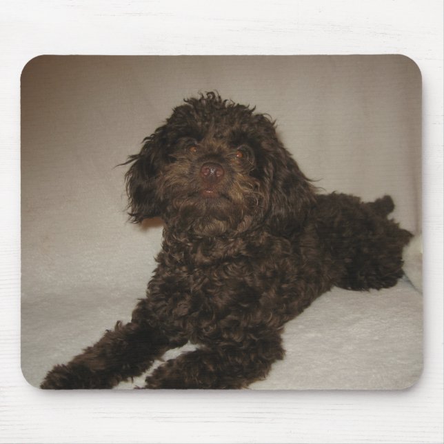 Tapis De Souris mousepad de doogy (Devant)