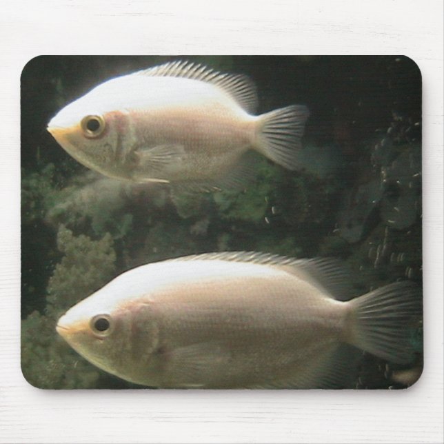 Tapis De Souris Mousepad de Fishies (Devant)