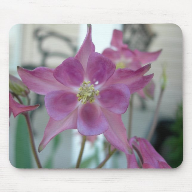 Tapis De Souris Mousepad de fleur de Columbine (Devant)