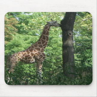 Tapis De Souris mousepad de girafe