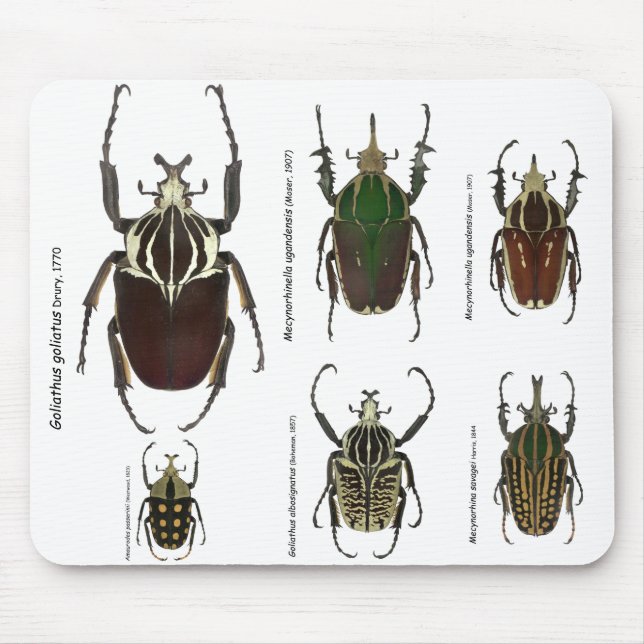 Tapis De Souris Mousepad de Goliath (Devant)