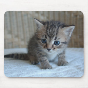 Tapis De Souris Mousepad de Habu