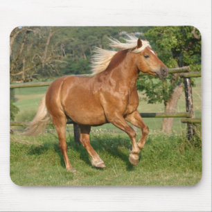 Tapis De Souris Mousepad de Haflinger