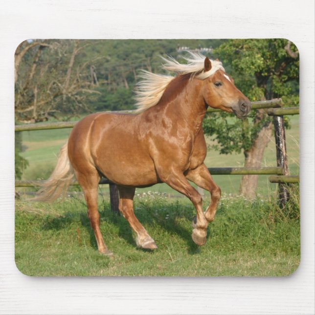 Tapis De Souris Mousepad de Haflinger (Devant)