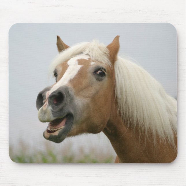 Tapis De Souris Mousepad de Haflinger (Devant)