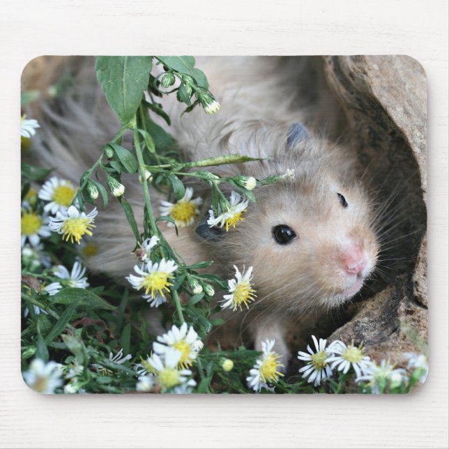 Tapis De Souris mousepad de hamster (Devant)
