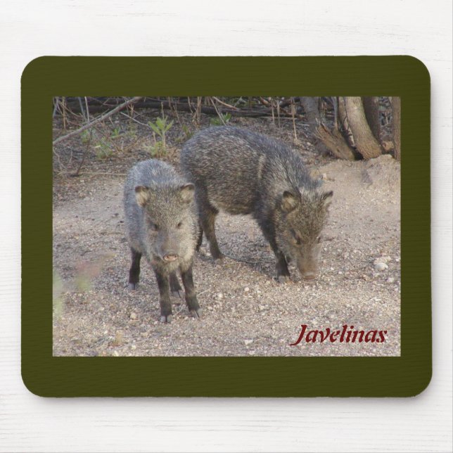 Tapis De Souris Mousepad de Javelinas (Devant)