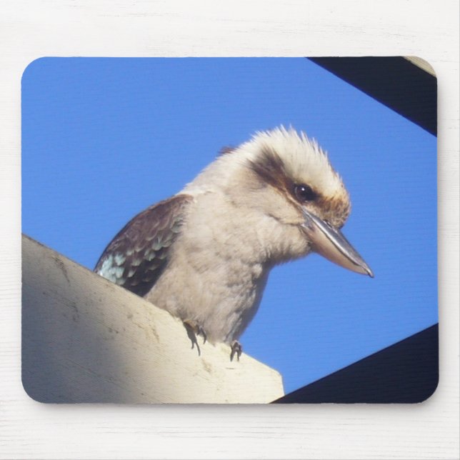 Tapis De Souris mousepad de kookaburra (Devant)