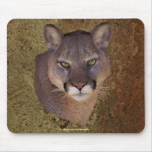Tapis De Souris Mousepad de la faune du lion de la montagne COUGAR