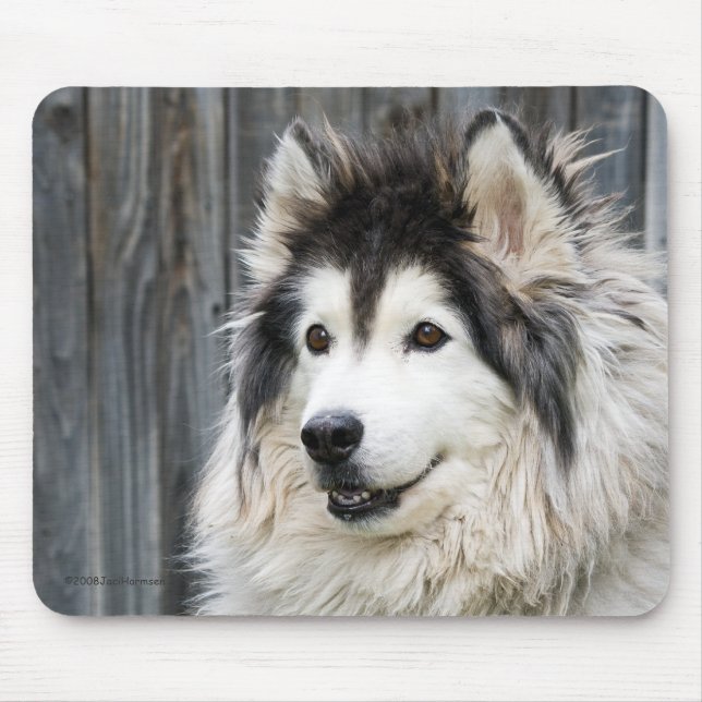 Tapis De Souris Mousepad de Malamute d'Alaska (Devant)