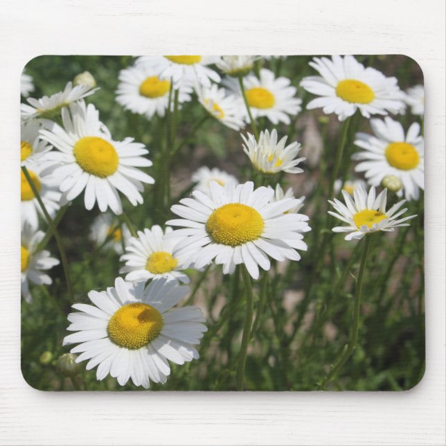 Tapis De Souris Mousepad de marguerite (Devant)
