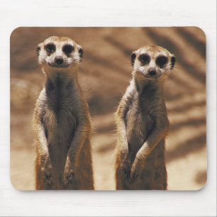 Tapis De Souris Mousepad de Meerkat