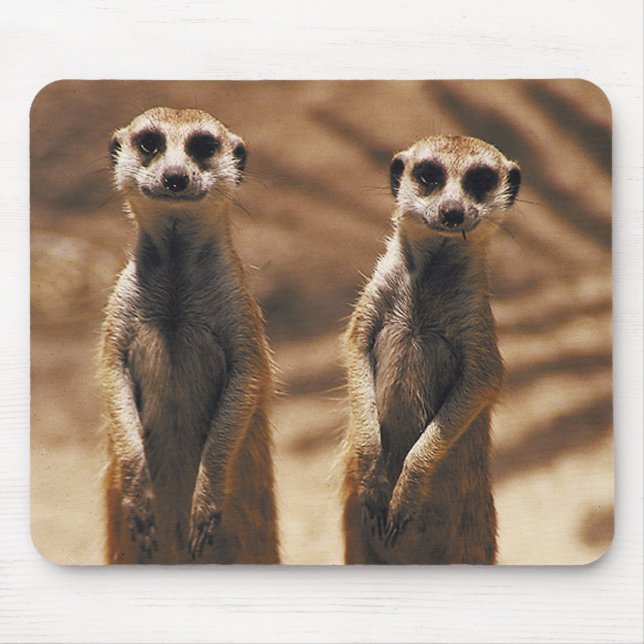 Tapis De Souris Mousepad de Meerkat (Devant)