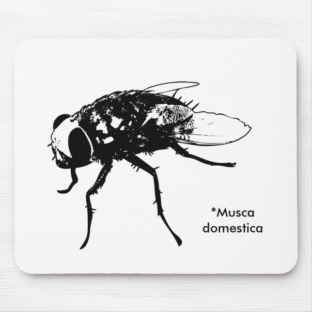 Tapis De Souris Mousepad de mouche domestique (Devant)