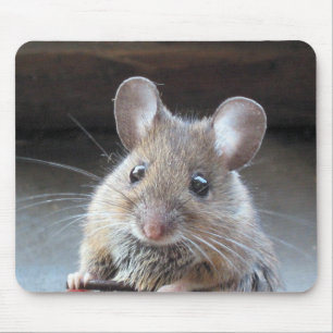Tapis De Souris Mousepad de Moue