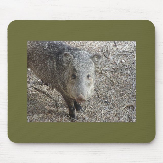 Tapis De Souris Mousepad de P1010073 Javelina (Devant)
