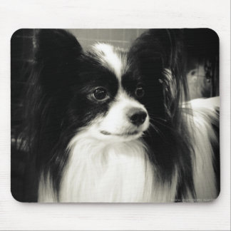 Tapis De Souris mousepad de papillon
