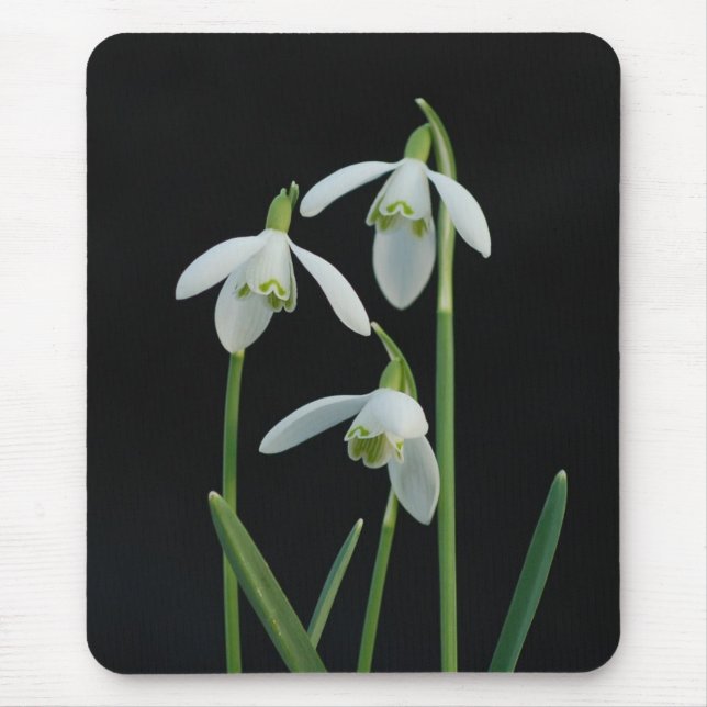 Tapis De Souris Mousepad de perce-neiges (Devant)