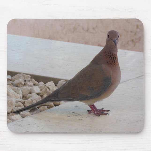 Tapis De Souris Mousepad de pigeon, personnalisable (Devant)