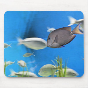 Tapis De Souris Mousepad de poisson bleu Tang
