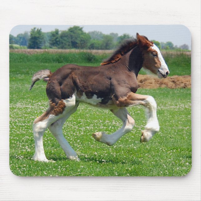 Tapis De Souris Mousepad de pouliche de Clydesdale (Devant)