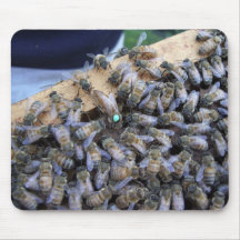 Mousepad de reine des abeilles