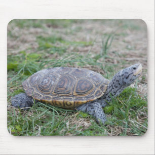 Tapis De Souris mousepad de tortue de terrapin de dos en forme de