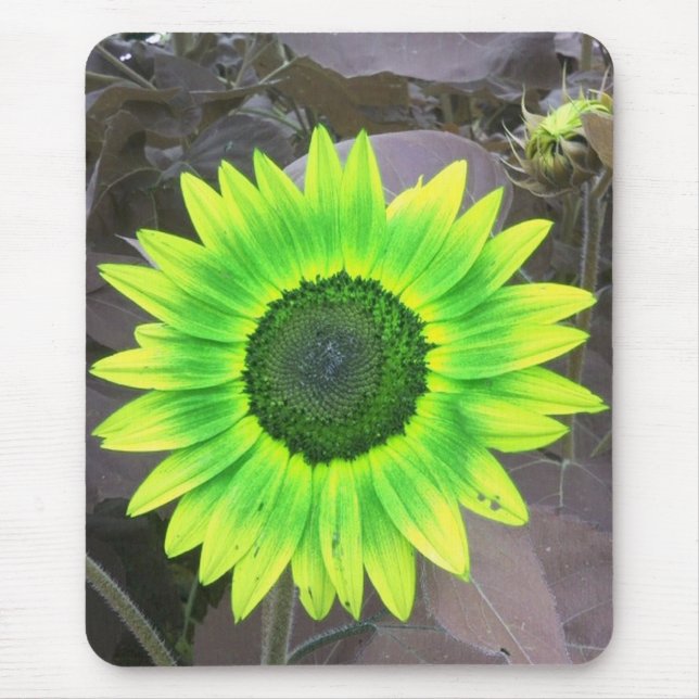 Tapis De Souris Mousepad de tournesol jaune N vert (Devant)