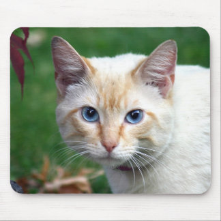 Tapis De Souris Mousepad de visage de chat siamois
