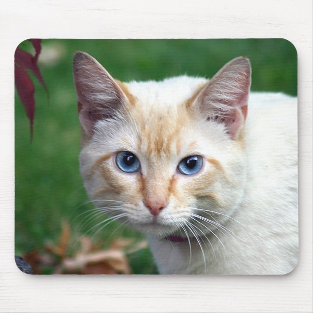 Tapis De Souris Mousepad de visage de chat siamois (Devant)