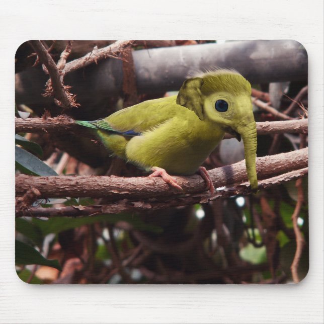 Tapis De Souris Mousepad d'Elebird (Devant)