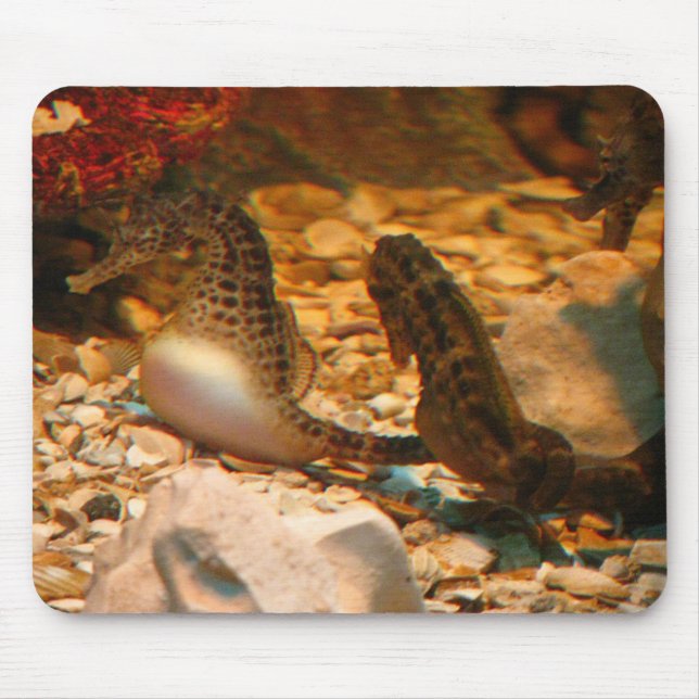 Tapis De Souris Mousepad d'hippocampe (Devant)