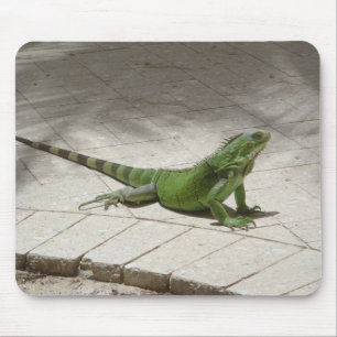 Tapis De Souris Mousepad d'iguane