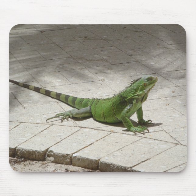 Tapis De Souris Mousepad d'iguane (Devant)