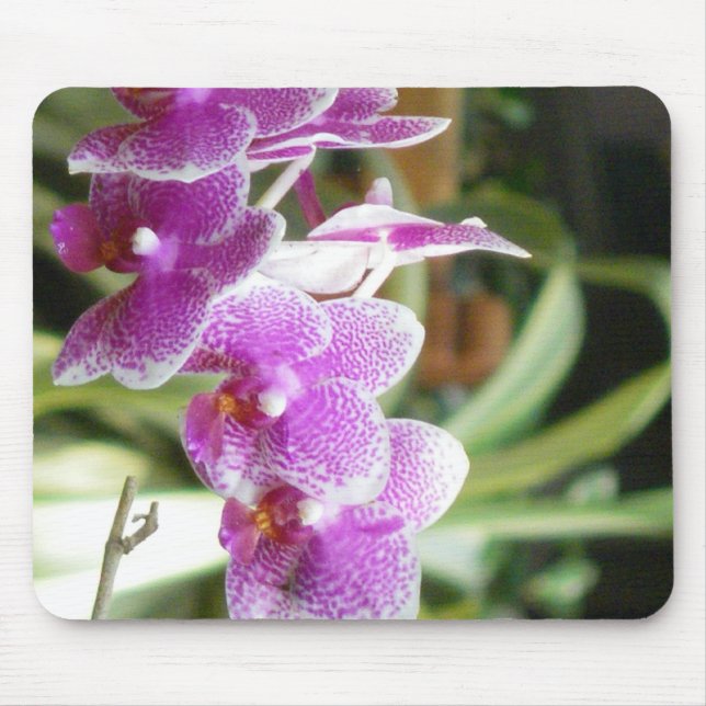 Tapis De Souris mousepad d'orchidée (Devant)