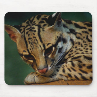 Tapis De Souris Mousepad fatigué de minou