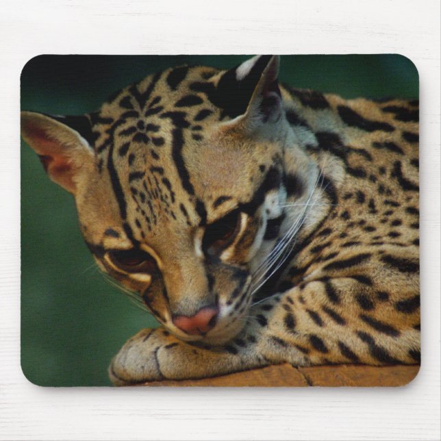Tapis De Souris Mousepad fatigué de minou (Devant)