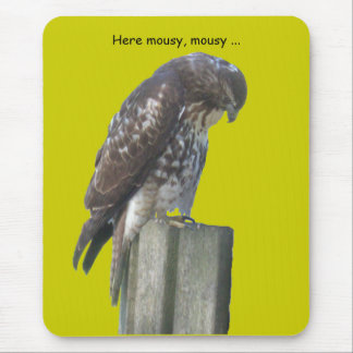 Tapis De Souris Mousepad - Faucon